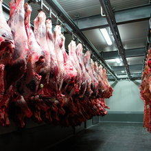 Meat industry 